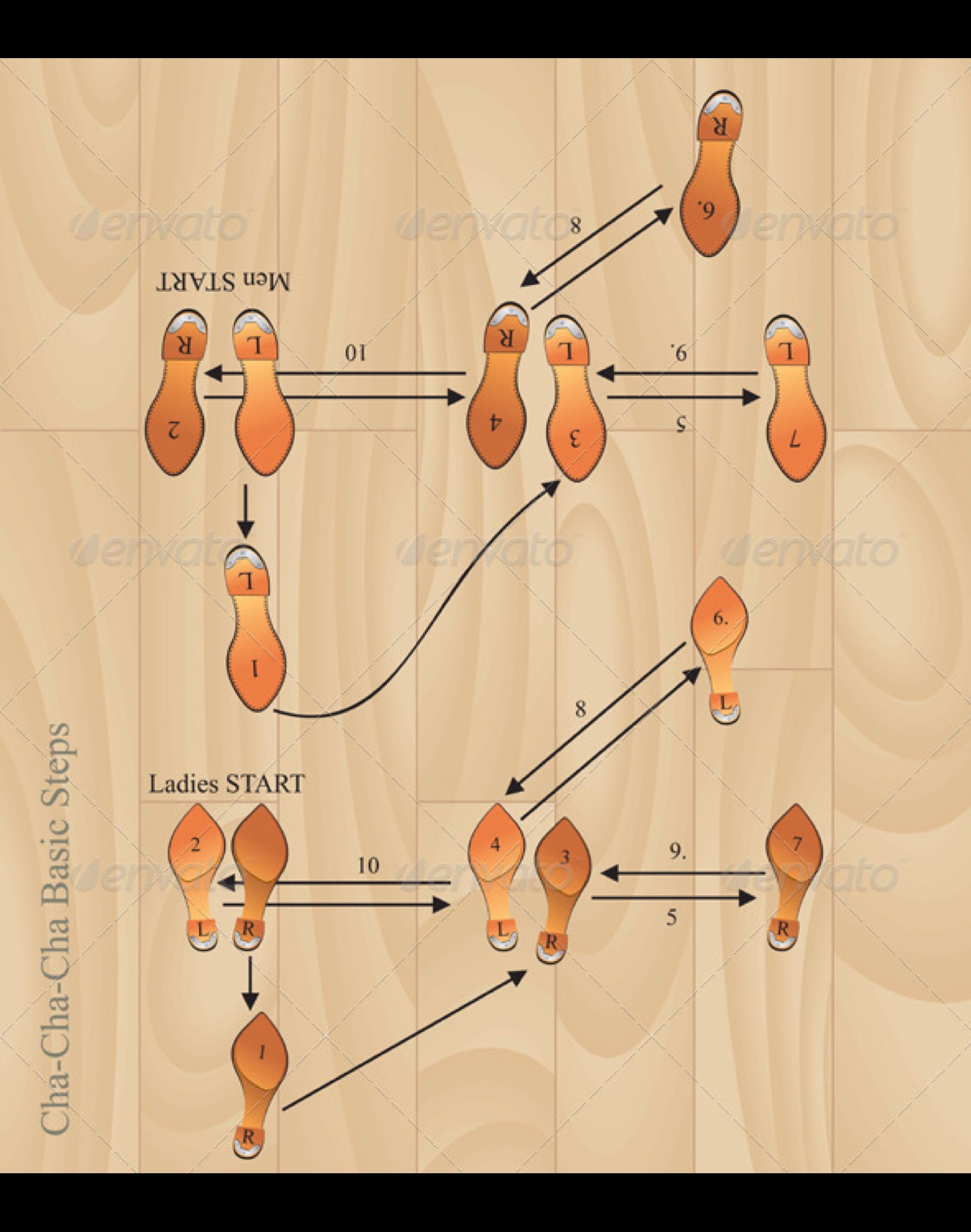 ballroom-basics-dance-guide